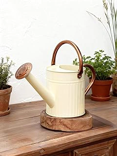 Bamworld 1/2 Gallon Embossed Stainless Steel Watering Can, Creamy