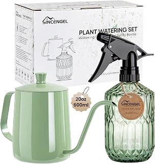 Metal Watering Can with Long Spout & Glass Plant Mister for Indoor Plants (Green)