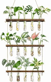 3 Tier Wall Hanging Propagation Station with 15 Glass Test Tubes