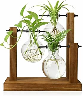 Plant Propagation Station with Glass Vases and Wooden Stand for Cuttings