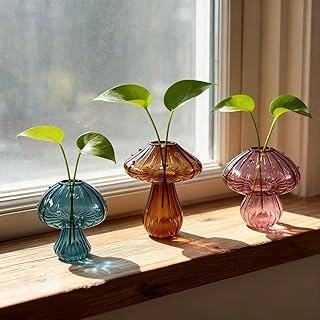 Set of 3 Glass Mushroom Propagation Planters for Indoor Plants