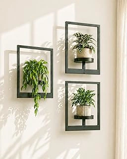 Bamworld 3 Pack Hanging Planters and Window Plant Shelves for Indoor Plants