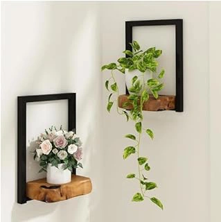 Natural Edge Cedar Wood 2 Pack Wall Plant Holders and Window Planter Shelves