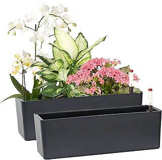GardenBasix Elongated 5.5x16 Inch Indoor Self-Watering Window Box 2-Pack (Dark Grey)