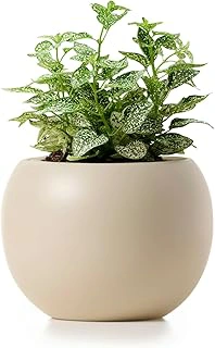 LAMENICO Ceramic Self Watering Plant Pot, 6.8 Inch with 4.5 Inch Inner Pot
