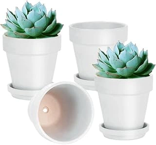 6 Inch White Terracotta & Clay Pots with Saucer and Drainage - 4 Pack