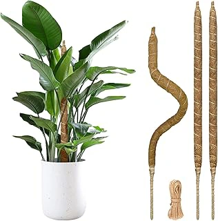 28-inch Bendable Plant Support Moss Poles, 3-Pack