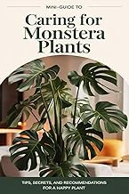 Home Botanica Series: Mini-Guide to Monstera Plant Care