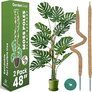2 Pack 48