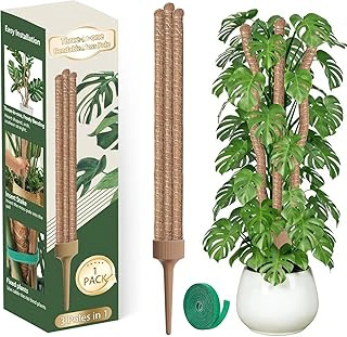 Set of 3 Bendable 30-Inch Tall Coir Moss Poles for Climbing Plants