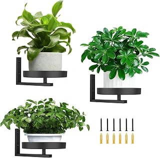 3 Pack Wall Planters for Indoor Plants,Wall Mounted Plant Holder, Metal wall plant holder,Metal Wall Plant Holder—Space-Saving and Ideal for Decorating Bedrooms, Living Rooms, Kitchens, Offices, and Bathrooms
