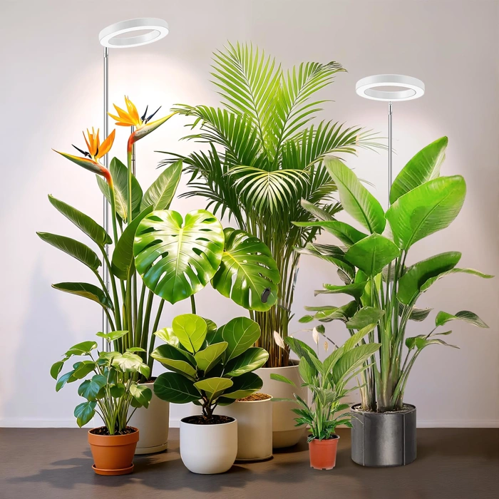 Full Spectrum LED Grow Light with Timer, 3 Color Modes, Height Adjustable (2 Pack)