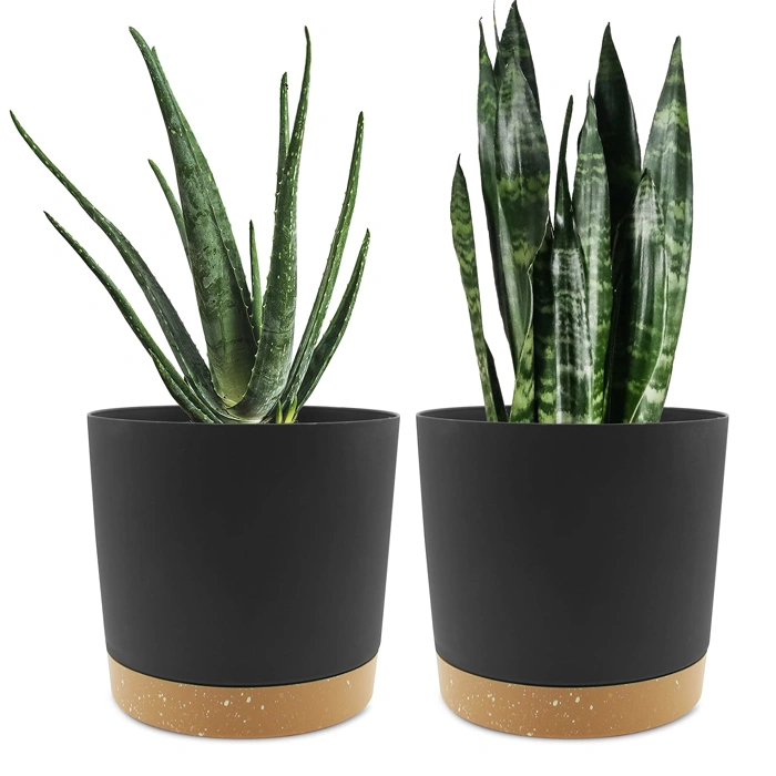 QCQHDU 8 inch Plant Pot, 2 Pack with Drainage Holes & Saucer