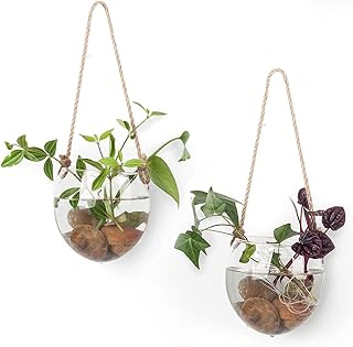 2 Pack Hanging Glass Terrariums for Hydroponic Plants