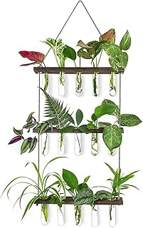 Propagation Station & Plant Terrarium with 15 Tubes, Brown