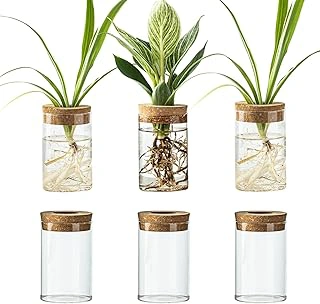 Snminetal Glass Plant Propagation Station with 6 Vases for Cuttings