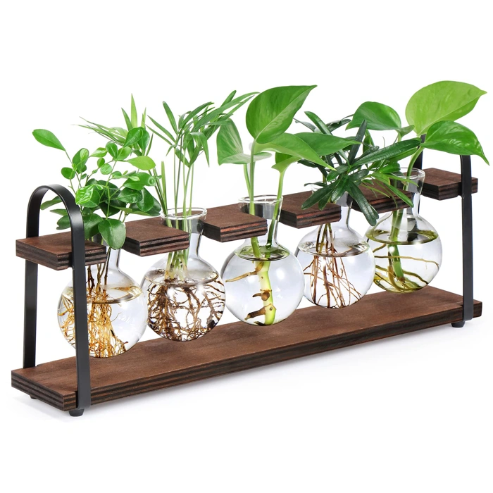 THYGIFTREE Plant Propagation Station with Wooden Stand & Glass Terrarium Bulb Vase