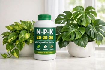 Learn what those three numbers on fertilizer bottles actually mean and how to feed your houseplants without guesswork.