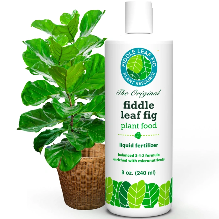 Amazon.com : Fiddle Leaf Fig Plant Food – 3‑1‑2 Balanced NPK Liquid Fertilizer for Larger Leaves, Stronger Roots & Steady, Vibrant Growth | Suitable for All Ficus Including Ficus Lyrata | Made in USA | 8 oz : Patio, Lawn & Garden