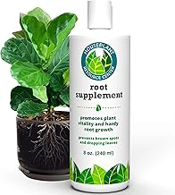 Amazon.com : Root Rot Repair for Houseplants – Root Supplement & Recovery Drops for Overwatering or Shock | Heals Roots, Prevents Yellowing, Brown Spots & Dropping Leaves (8 oz) : Patio, Lawn & Garden